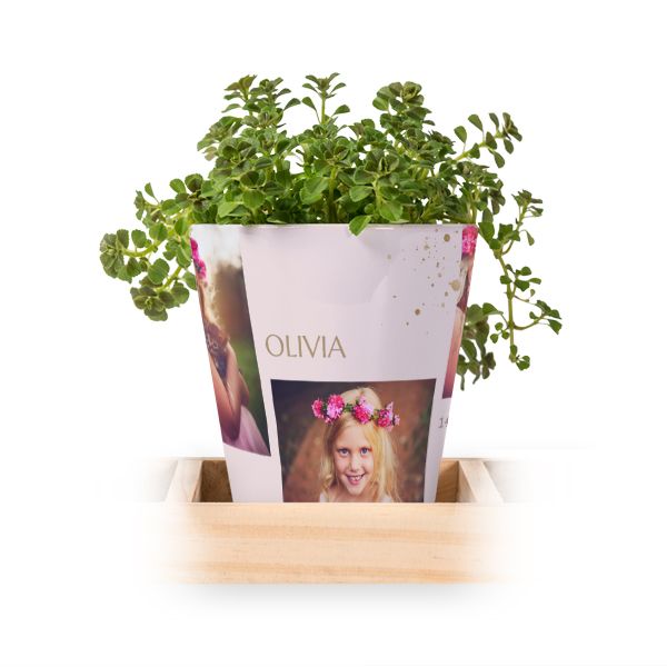 Lot de 3 pots avec plateau Lot de 3 pots avec plateau