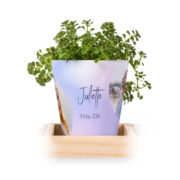 Lot de 3 pots avec plateau