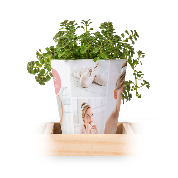 Bloempot (Set van 3)