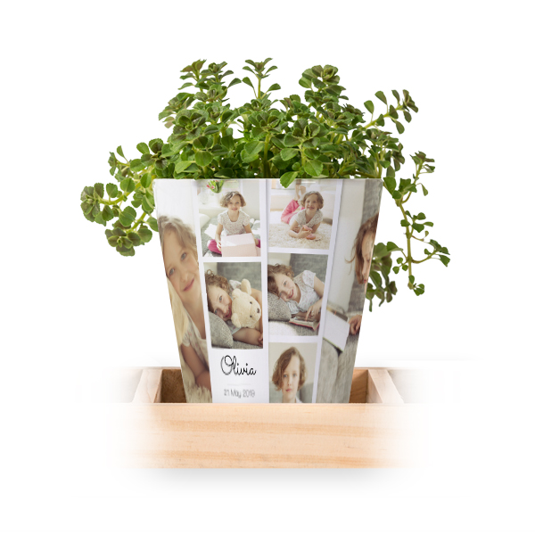 Lot de 3 pots avec plateau
