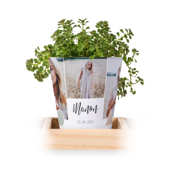 Lot de 3 pots avec plateau
