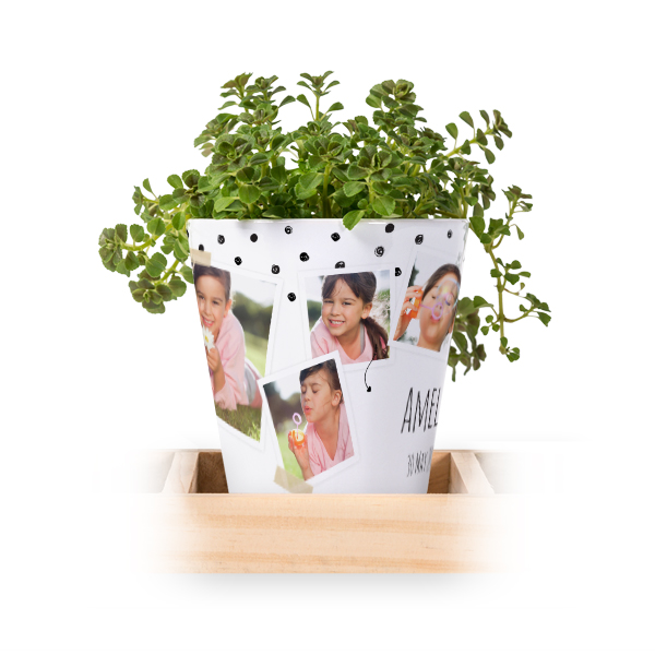 Flowerpot (Set of 3)