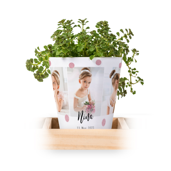 Flowerpot (Set of 3) Flowerpot (Set of 3)