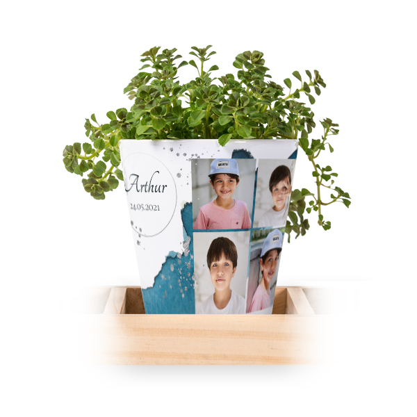 Bloempot (Set van 3)