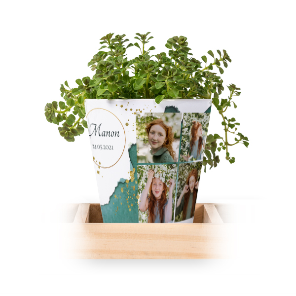 Bloempot (Set van 3)