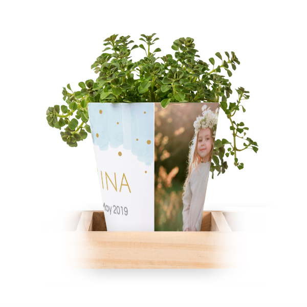 Lot de 3 pots avec plateau Lot de 3 pots avec plateau
