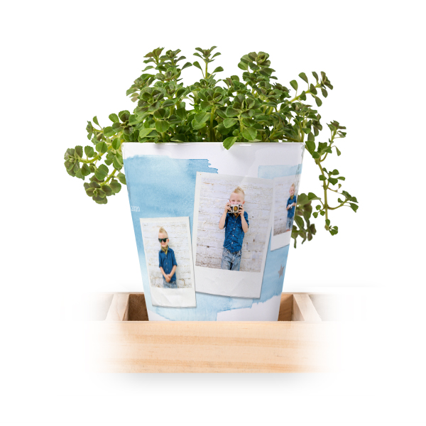 Lot de 3 pots avec plateau