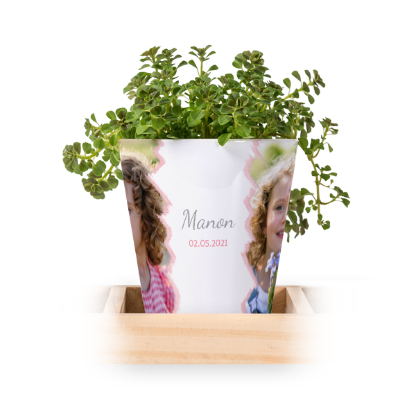 Lot de 3 pots avec plateau