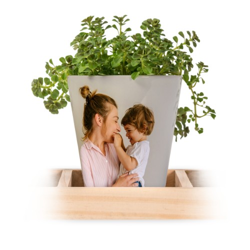 Photo Only Photo Only