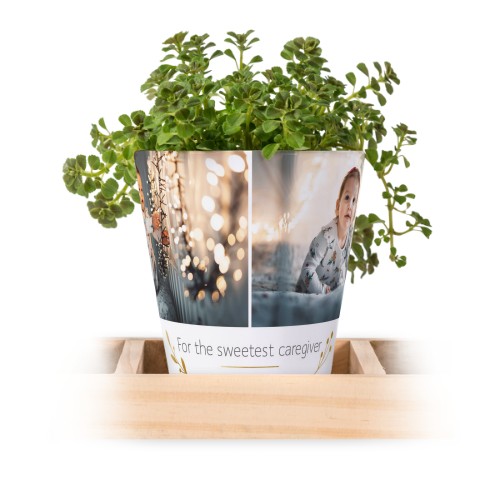 Flowerpot (Set of 3) Flowerpot (Set of 3)