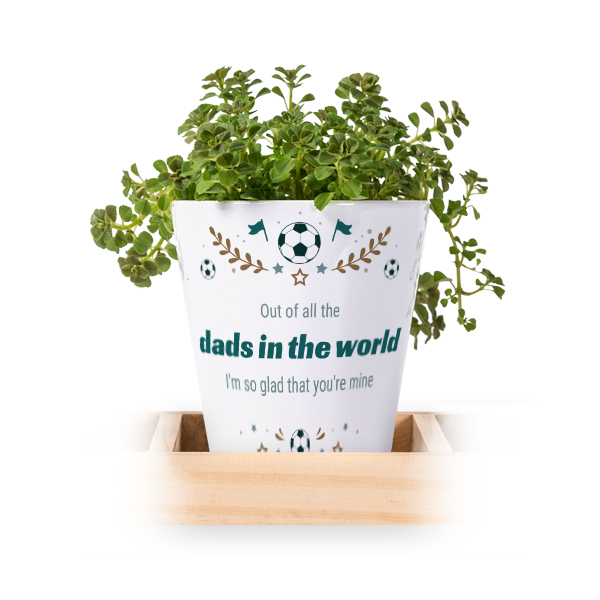 Flowerpot (Set of 3)