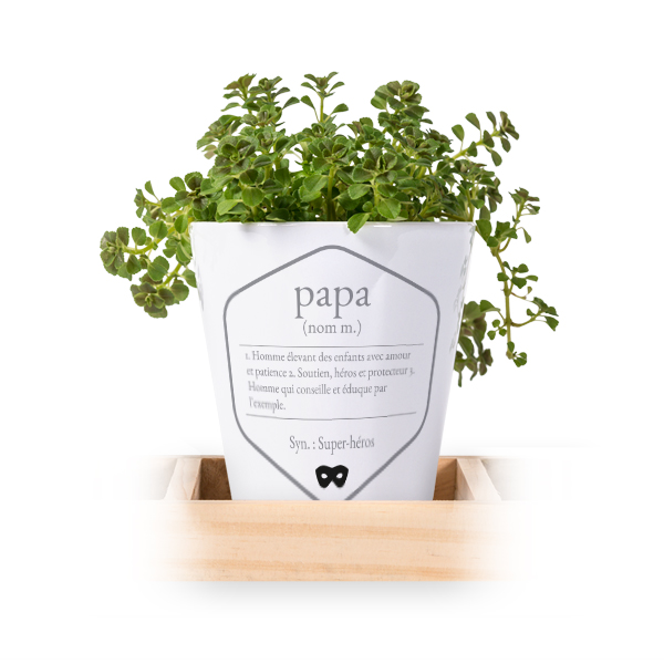 Lot de 3 pots avec plateau