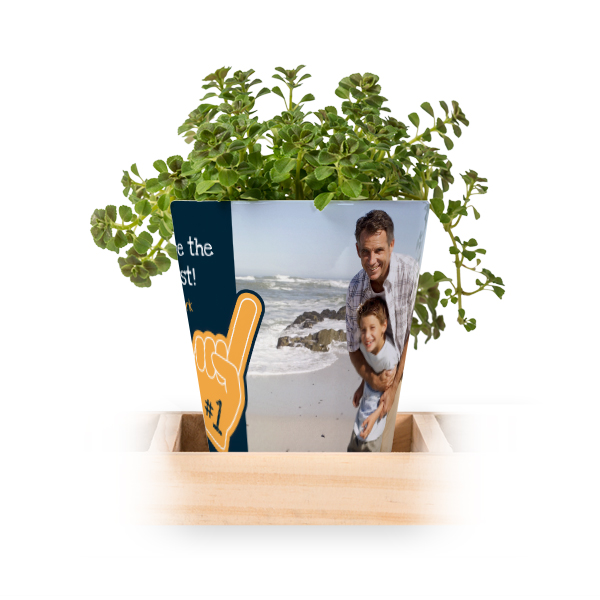 Blumentopf (3er Set)