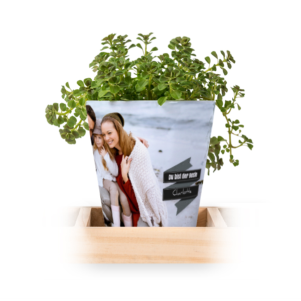 Blumentopf (3er Set)