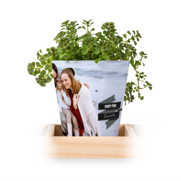 Lot de 3 pots avec plateau