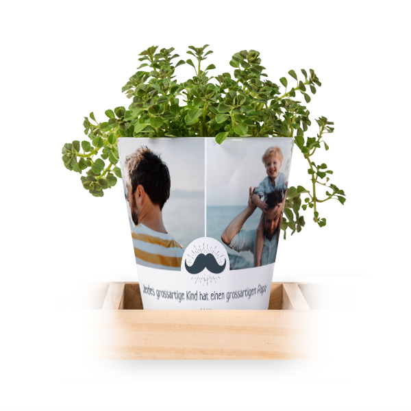Blumentopf (3er Set)