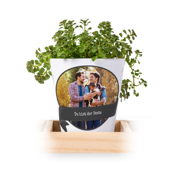 Blumentopf (3er Set)