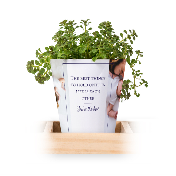 Lot de 3 pots avec plateau Lot de 3 pots avec plateau