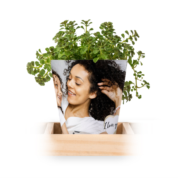 Golden Quote Heart Golden Quote Heart