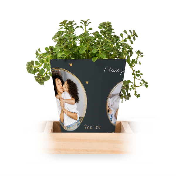 Blumentopf (3er Set) Blumentopf (3er Set)