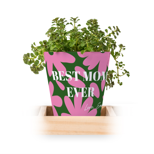 Bloempot (Set van 3)