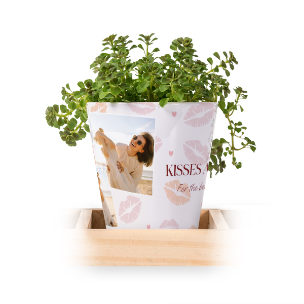 Bloempot (Set van 3)