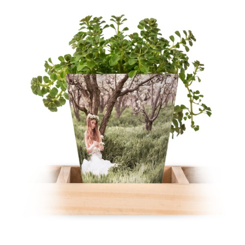 Water Colour Dots Water Colour Dots