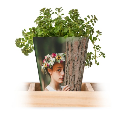 Water Colour Dots Water Colour Dots