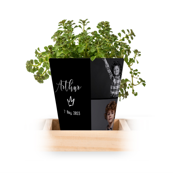 Lot de 3 pots avec plateau Lot de 3 pots avec plateau