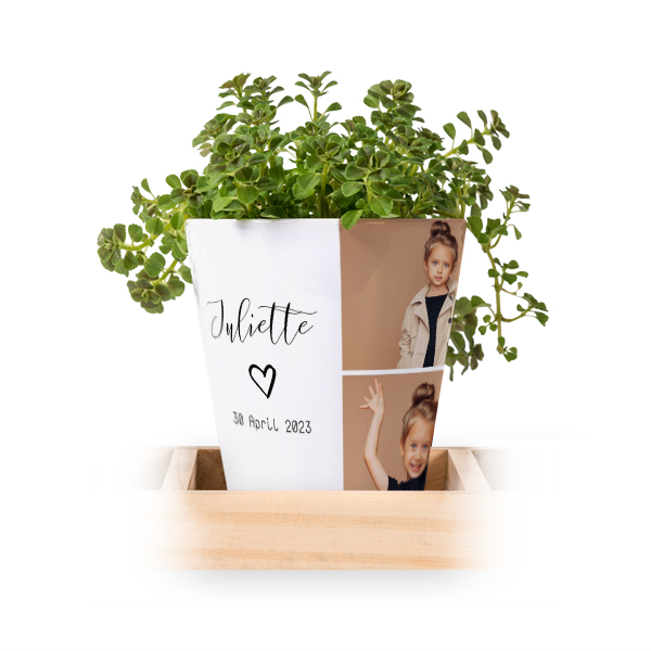 Bloempot (Set van 3)