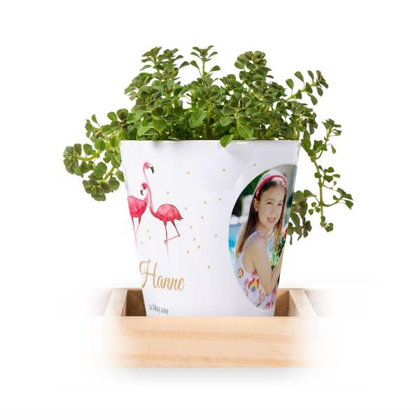 Flamingo Confetti Flamingo Confetti