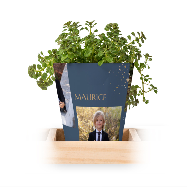 Gold Sparkles Party Gold Sparkles Party