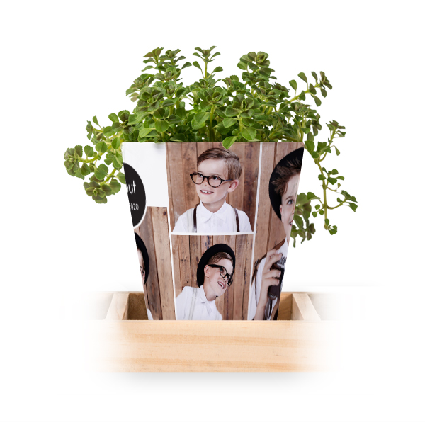 Lot de 3 pots avec plateau Lot de 3 pots avec plateau