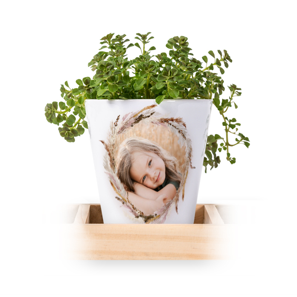Lot de 3 pots avec plateau Lot de 3 pots avec plateau
