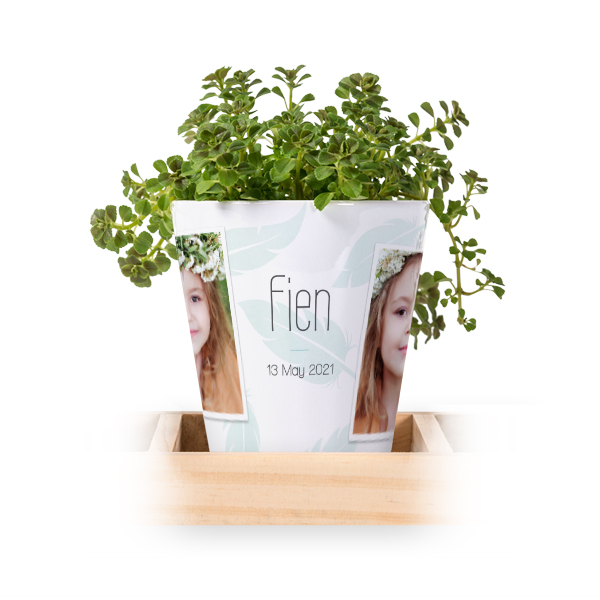 Blumentopf (3er Set) Blumentopf (3er Set)