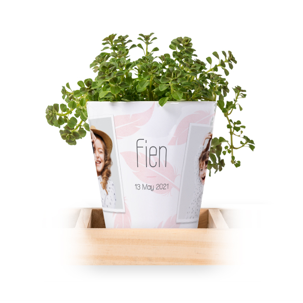Blumentopf (3er Set) Blumentopf (3er Set)