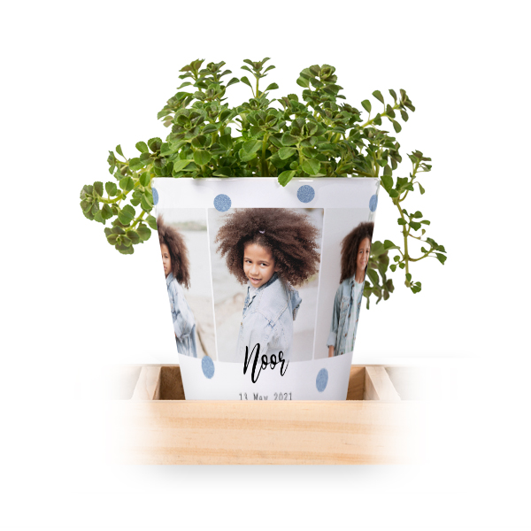 Blumentopf (3er Set)
