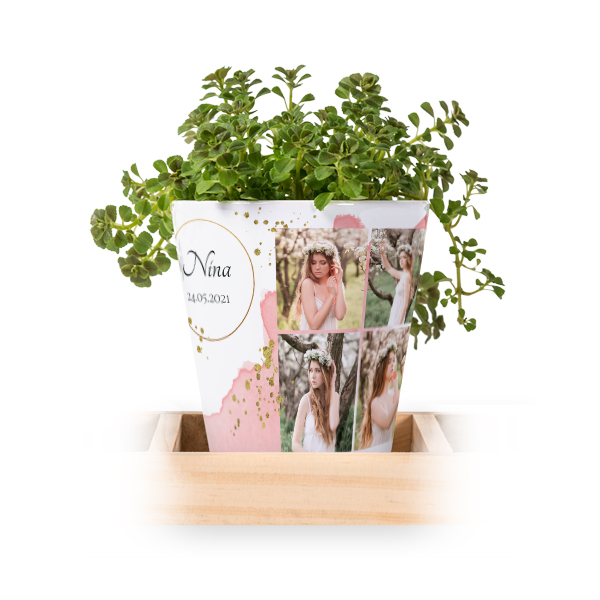 Watercolor Golden Circle