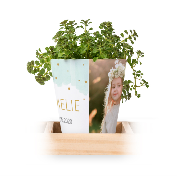 Blumentopf (3er Set) Blumentopf (3er Set)
