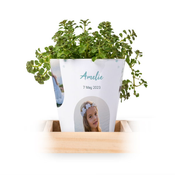 Blumentopf (3er Set)