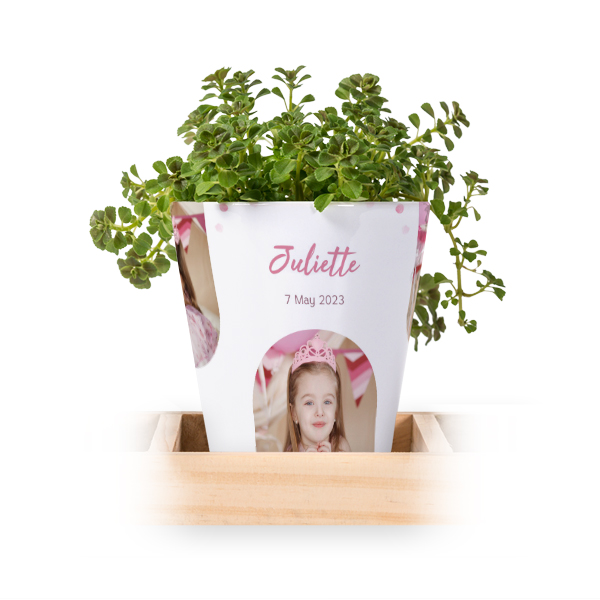 Lot de 3 pots avec plateau Lot de 3 pots avec plateau