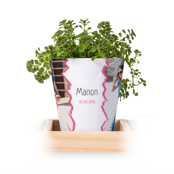 Lot de 3 pots avec plateau