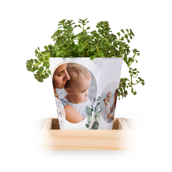 Blomsterkrukke (Sett med 3)