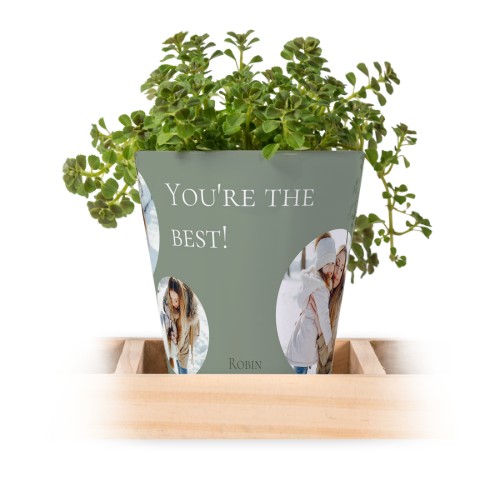 Lot de 3 pots avec plateau Lot de 3 pots avec plateau