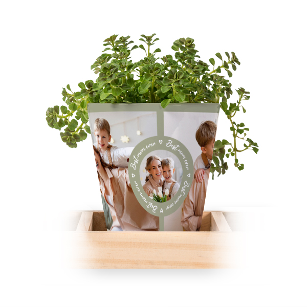 Blumentopf (3er Set)