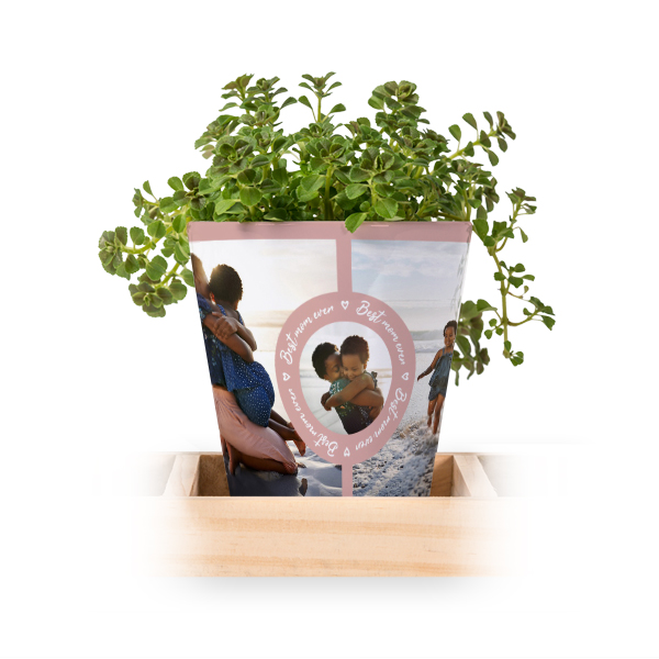 Blomsterkrukke (Sett med 3)