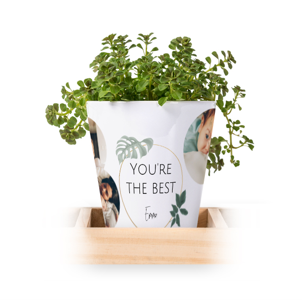 Lot de 3 pots avec plateau