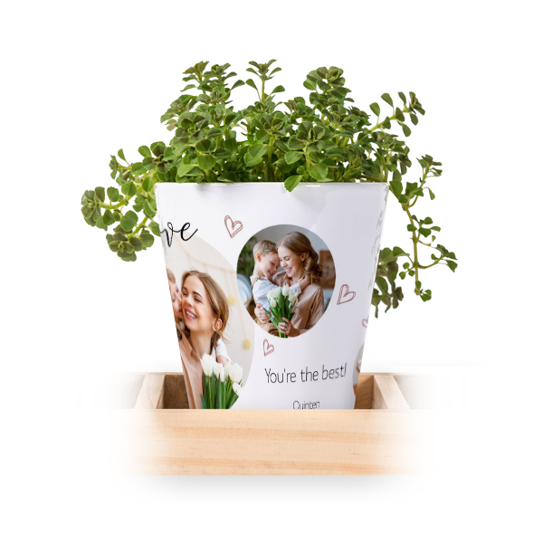 Flowerpot (Set of 3)