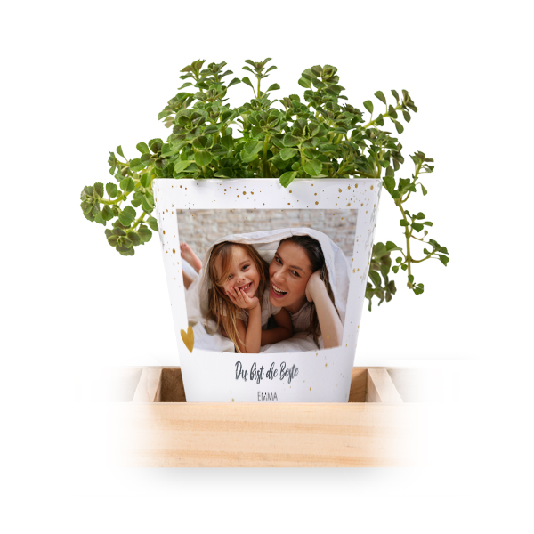 Blumentopf (3er Set)