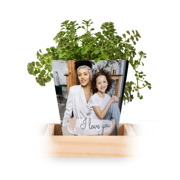 Lot de 3 pots avec plateau